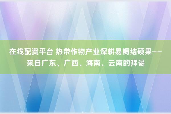 在线配资平台 热带作物产业深耕易耨结硕果——来自广东、广西、海南、云南的拜谒