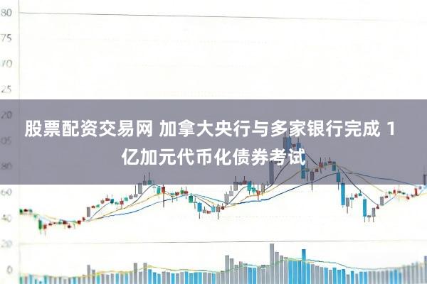 股票配资交易网 加拿大央行与多家银行完成 1 亿加元代币化债券考试