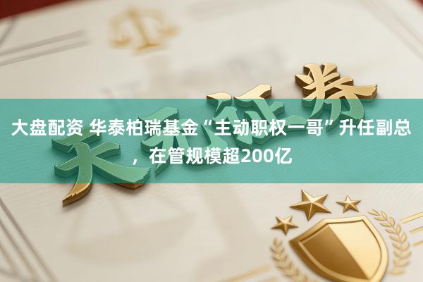 大盘配资 华泰柏瑞基金“主动职权一哥”升任副总,在管规模超200亿